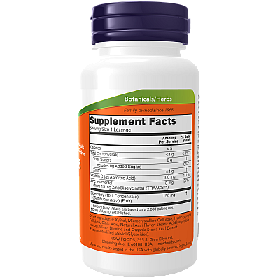 סמבוק עם אבץ ויטמין C תכולה 60 לכסניות - מבית NOW FOODS