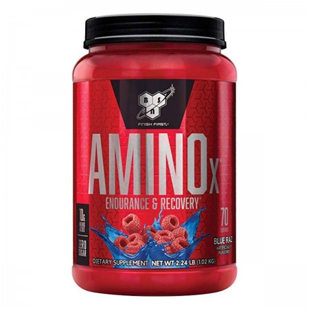 חומצות אמינו איקס AMINO X בטעם כחול רז 1.01 ק"ג - מבית BSN