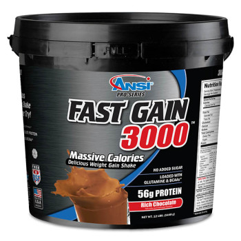 אבקת גיינר פאסט גיינר 3000 - FAST GAIN 3000 יחס 1:4 משקל 5.5 ק"ג - מבית ANSI
