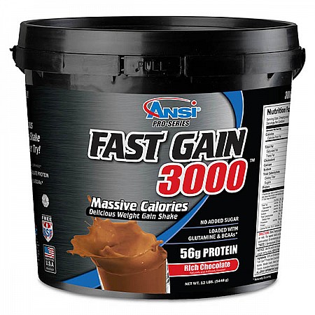 אבקת גיינר פאסט גיינר 3000 - FAST GAIN 3000 יחס 1:4 משקל 5.5 ק"ג - מבית ANSI