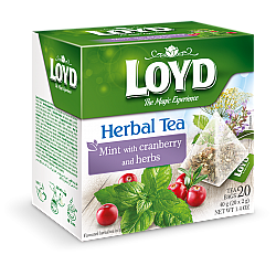 חליטת נענע חמוציות וצמחים לויד 20 שקיות תה פירמידה - LOYD