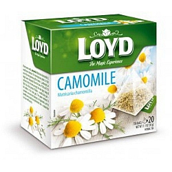 חליטת קמומיל לויד 20 שקיות תה פירמידה - LOYD