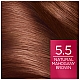 מחיר לוריאל אקסלנס קרם צבע שיער קבוע לטיפוח עשיר - בגוון 5.5 חום מהגוני