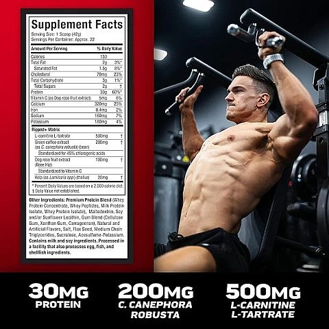 Nitro-Tech Ripped חלבון לירידה במשקל + אבקת חלבון מי גבינה - וניל צרפתי 907 גרם - מבית MuscleTech Nitro-Tech Ripped חלבון לירידה במשקל + אבקת חלבון מי גבינה - וניל צרפתי 907 גרם - מבית MuscleTech