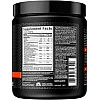 קדם אימון מתקדם Shatter Pre-Workout Ripped - בטעם שלגון - 250 גרם - מבית MuscleTech