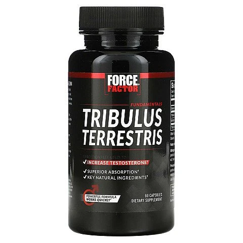 קוטב מצוי Tribulus Terrestris מאיץ טסטוסטרון 60 כמוסות - מבית Force Factor קוטב מצוי Tribulus Terrestris מאיץ טסטוסטרון 60 כמוסות - מבית Force Factor