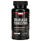 קוטב מצוי Tribulus Terrestris מאיץ טסטוסטרון 60 כמוסות - מבית Force Factor