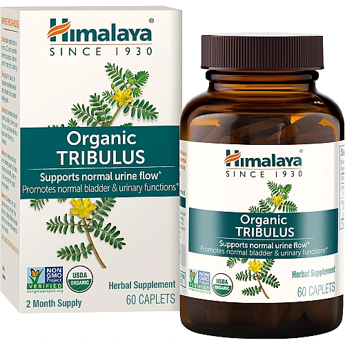 טריבולוס אורגני 60 כמוסות - מבית Himalaya