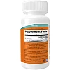 ברזל עדין 36 מ"ג כוח כפול - 90 כמוסות מבית NOW FOODS ברזל עדין 36 מ"ג כוח כפול - 90 כמוסות מבית NOW FOODS
