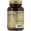 ראישי פטריות יפניות Reishi סולגאר - 50 כמוסות מבית SOLGAR ראישי פטריות יפניות Reishi סולגאר - 50 כמוסות מבית SOLGAR