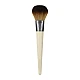 לקנות אקוטולס מברשת פודרה קלילה EcoTools Precision Blush במחיר זול