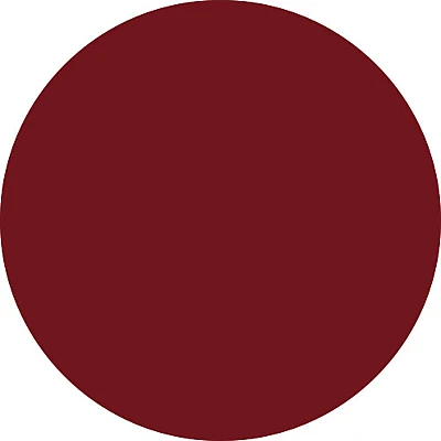 רבלון עפרון שפתיים COLORSTAY - גוון 665 - מבית REVLON