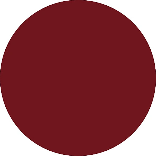 רבלון עפרון שפתיים COLORSTAY - גוון 665 - מבית REVLON