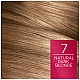 לוריאל אקסלנס קרם צבע שיער קבוע לטיפוח עשיר - בגוון 7 בלונד