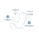 נטראקר תחבושות היגייניות לונג ארוכות עם כנפיים לזרימה מוגברת 12 יחידות - מבית Natracare