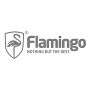 Flamingo Car Care