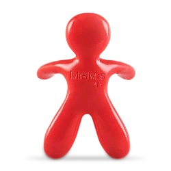 מטהר אוויר לרכב בניחוח קינמון ויער - צבע כתום - מבית Mr & Mrs Fragrance