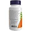 תמצית מזרעי סלרי 60 כמוסות - מבית NOW FOODS תמצית מזרעי סלרי 60 כמוסות - מבית NOW FOODS