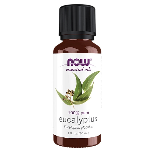 שמן אתרי אקליפטוס 30 מ”ל - מבית NOW FOODS