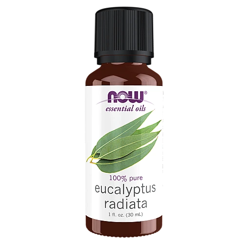 שמן אתרי אקליפטוס רדיאטה 30 מ”ל - מבית NOW FOODS