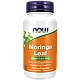 עלה מורינגה 90 כמוסות - מבית NOW FOODS