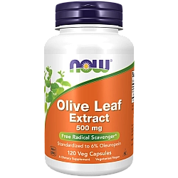 תמצית עלי זית 500 מ"ג 120 כמוסות - מבית NOW FOODS