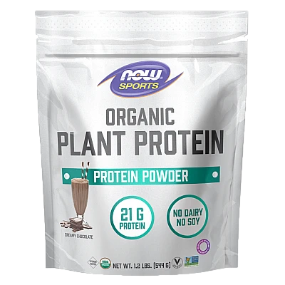אבקת חלבון צמחי אורגני שוקולד קרמי 554 גרם  - מבית NOW FOODS