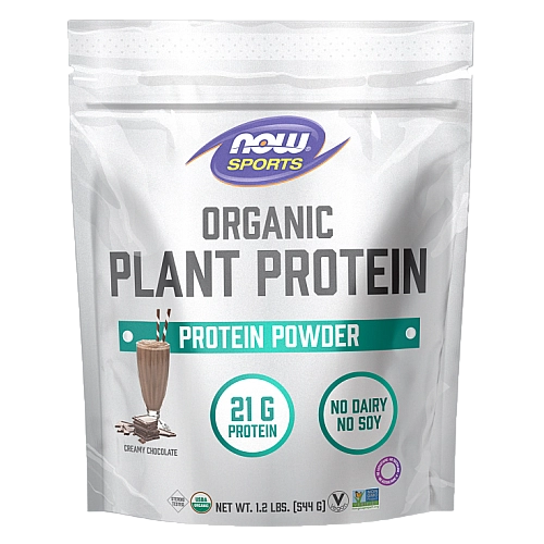 אבקת חלבון צמחי אורגני שוקולד קרמי 554 גרם  - מבית NOW FOODS
