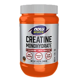 אבקת קריאטין מונוהידראט כשר 601 גרם - מבית NOW SPORTS