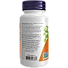 ג'ינקו בילובה 60 מ"ג - 60 כמוסות - מבית NOW FOODS ג'ינקו בילובה 60 מ"ג - 60 כמוסות - מבית NOW FOODS