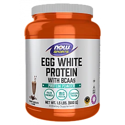 חלבון ביצה עם BCAA קרם שוקולד 680 גרם  - מבית NOW FOODS