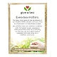חליטת ריישי פטריות רויבוש 24 שקיקי תה - מבית NOW FOODS