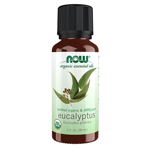 שמן אתרי אקליפטוס אורגני 30 מ"ל - מבית NOW FOODS
