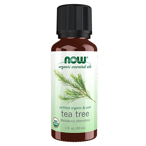 שמן אתרי עץ התה אורגני 30 מ"ל - מבית NOW FOODS
