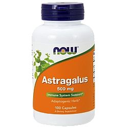 אסטרגלוס 500 מ"ג - 100 כמוסות - מבית NOW FOODS