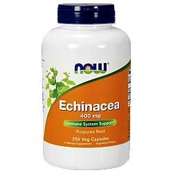 אכינצאה 400 מ"ג - 250 כמוסות - מבית NOW FOODS