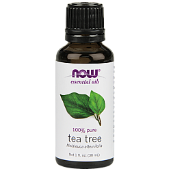 שמן אתרי עץ התה 100% טהור 30 מ”ל - מבית NOW FOODS
