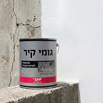 גומי קיר - ציפוי גמיש לקירות - 6 ק״ג