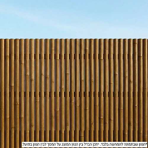 BambooDeck - לכה בגוונים לבמבוק ועץ - חום זית 500 - חום זית / 750 מ״ל